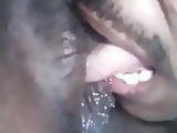 sri lankan pussy lick 1